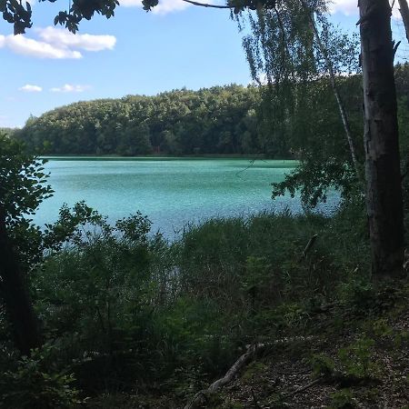 ŁagówAgroturystyka "Zielone Zacisze"别墅 外观 照片